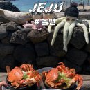 놀맨 | 제주 애월 해물라면 역대급 비주얼과 오션뷰에 취하는 '놀맨'