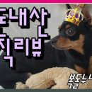 푸른바다참치