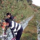 풀잎마을 이미지