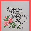 캘리 그래피 Daum카페