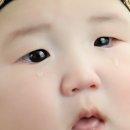 은나무스튜디오 이미지