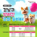힐링독 반려견센터 이미지