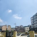 [태교여행준비 ①] 동남아 홍역유행 - 홍역항체 검사하기 / 인구보건복지협회 경기도지회