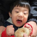 연우네 농장 이미지