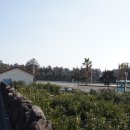 포구 민박 이미지