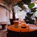 보루꾸 | [ 울산 ] 카페 / 성남동 / cafe / 보루꾸 / BORUKU /