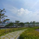 새빛발전소 이미지