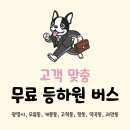 출근길 강아지 유치원 이미지