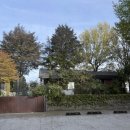 첼로 | 군산 감성 카페 추천, 첼로네시아 방문 후기