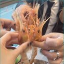 바다마차 네이버블로그