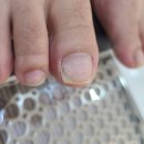 UR(파주시)-[심학산로]-하-13 | 운정네일 제이뷰티 깔끔하게 패디 완료