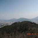 다산육종 이미지