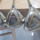 아이언 플렉스(IRON FLEX) 이미지