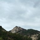 독바우 이미지
