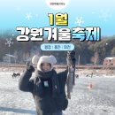 강원겨울축제1월📌평창송어축제📌홍천강꽁꽁축제📌얼음나라화천산천어축제 이미지