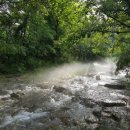 맹씨네 농장 이미지