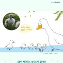 코코랜드 - 고양시 일산서구 | 코코랜드
