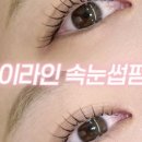 식스윅스전주왁싱속눈썹