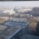용무체육관 | 신라호텔 서울 디럭스 더블룸 영빈관뷰 탐방 후기!