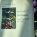 동신주막 이미지