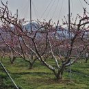 이재수한의원 이미지