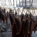 오동수원지 이미지