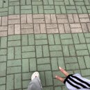 월영동293 | [마산] 너무 좋아서 재방문 하는 꾸준한 마산피부관리 쎌뷰티 리턴에이징 받고 왔어요 !