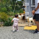 청도아리아펜션 이미지