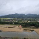 하회안동찜닭 이미지