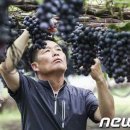 희성농장 이미지