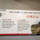 나누리메드 이미지