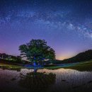 별이빛나는밤에 - 성남시 분당구 미금일로90번길 28 | 별이빛나는밤에