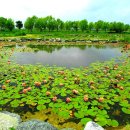 시니어세상 이미지