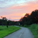 와룡지구 이미지