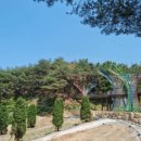 구례소나무정원 이미지