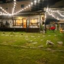 나래애견 이미지