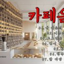 7080 카폐 음악 이미지