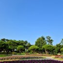유림테크카페포렛 | [대전 여행 추천] 유림공원 피크닉