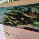 둔터니둘레길 이미지