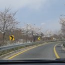 양보 태양광발전소 이미지