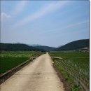 서해랑길 7코스 이미지