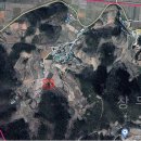 백초(남) 이미지