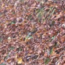 심산유곡 앞 이미지