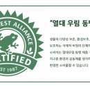 탑아로마