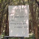 곶자왈노크 | 제주 산양큰엉곶 곶자왈 포토존 천국 꿀팁 후기 사진 대방출