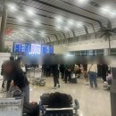 더봄애견 | 제주여행 강아지 비행기 탑승 후기 (에어서울 RS908 애견 기내 탑승)