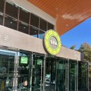 설악워터피아실외수영장 | 동절기 후기 /할인, 준비물, 놀이기구/ 한화리조트 설악 워터피아 &#39;뜨끈하고 시원하고 짜릿해...★&#39;