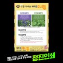 정진인쇄디자인 이미지