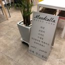 카페무드셀라