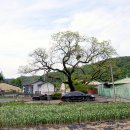 남산리